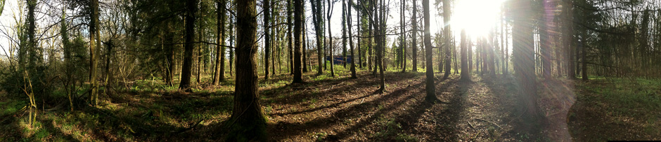 Cheshire commercial photographer, panorama in the Forest of Dean