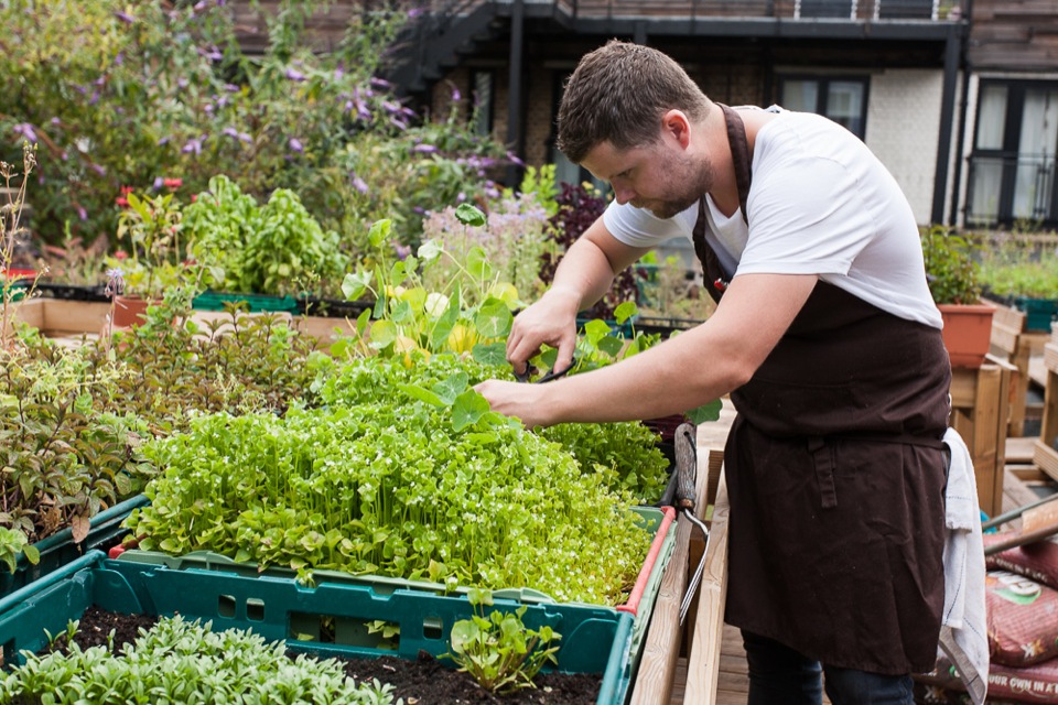 Chef Robin Gill, roof garden at The Dairy